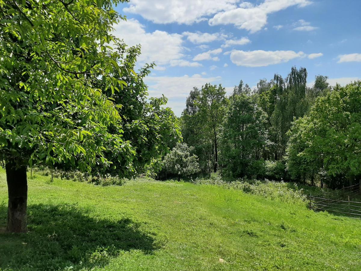 ZerkowiceGosp. Agroturystyczne Stary Gaj别墅 外观 照片