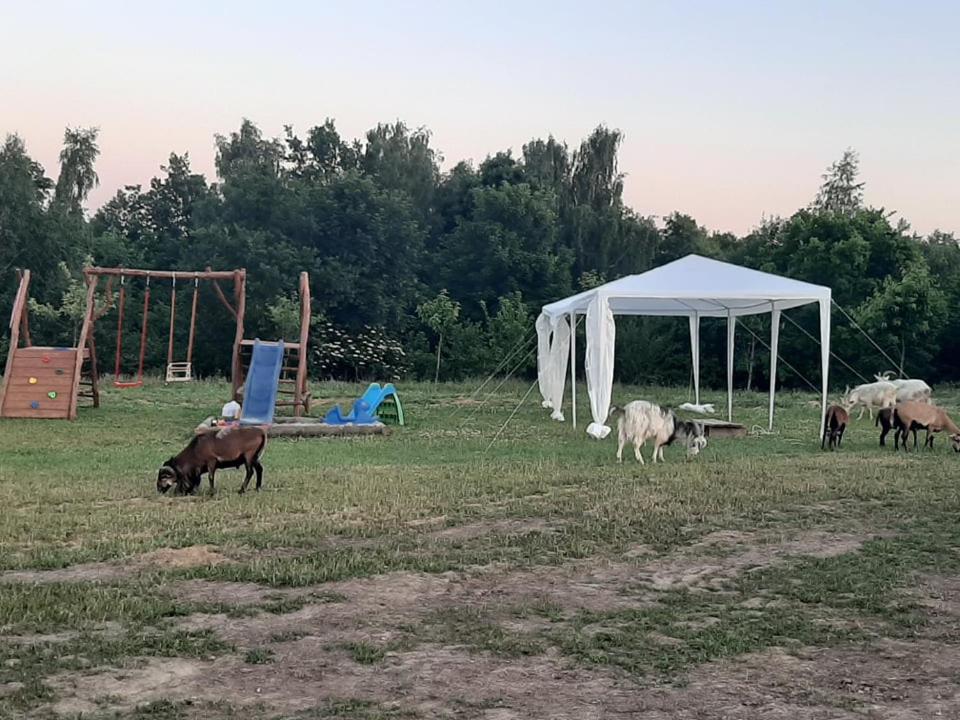 ZerkowiceGosp. Agroturystyczne Stary Gaj别墅 外观 照片
