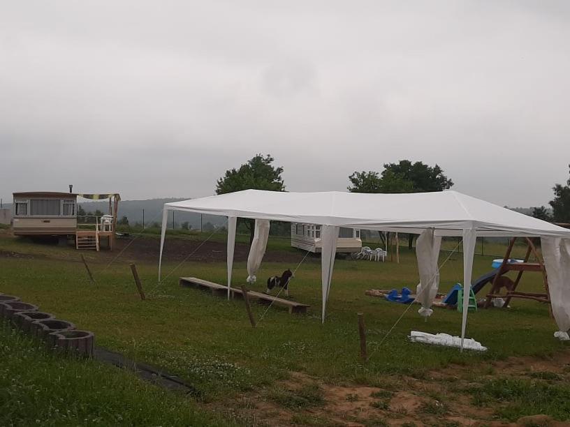 ZerkowiceGosp. Agroturystyczne Stary Gaj别墅 外观 照片