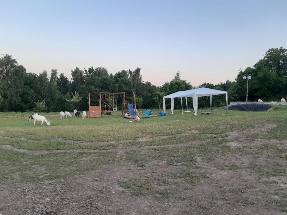 ZerkowiceGosp. Agroturystyczne Stary Gaj别墅 外观 照片